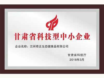 甘肅省科技型中小企業(yè)（2018.3）